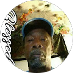 Profile photo of Karim Wali