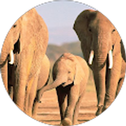 Profile photo of Malcolm Pereira