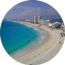 Profile photo of Donna Lounsbury