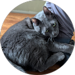 Profile photo of Greg Winchester