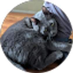 Profile photo of Greg Winchester