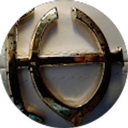 Profile photo of Snow Ball