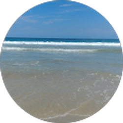 Profile photo of Shirley HAMILTON