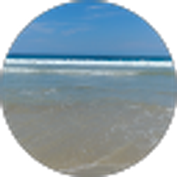 Profile photo of Shirley HAMILTON