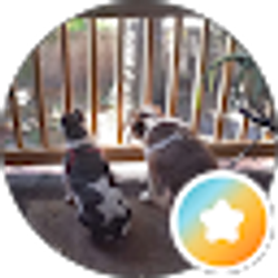Profile photo of Es W