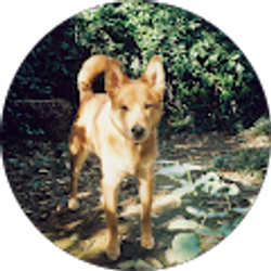 Profile photo of Karen Leslie