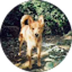 Profile photo of Karen Leslie