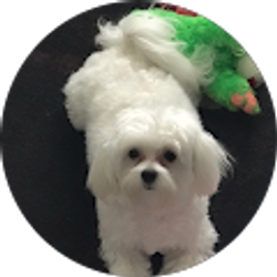 Profile photo of Gene Littlejohn