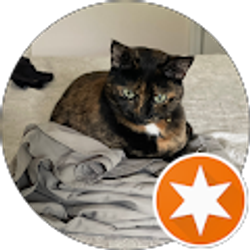 Profile photo of AnneMarie Iqbal