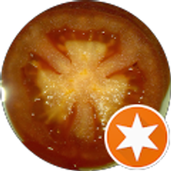 Profile photo of Colleen Miller