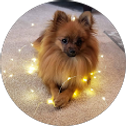 Profile photo of Deb Galley