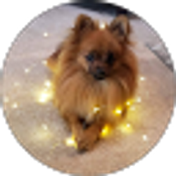Profile photo of Deb Galley