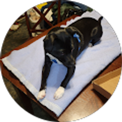 Profile photo of Shirley k Evans