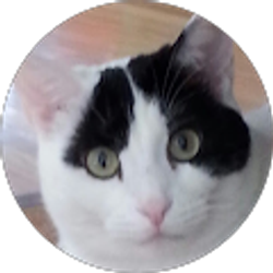 Profile photo of Kathy G