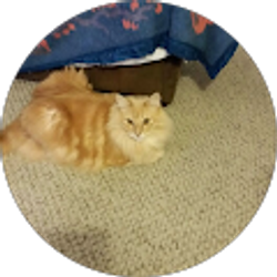 Profile photo of Sandra Thomas