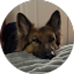 Profile photo of jaeger