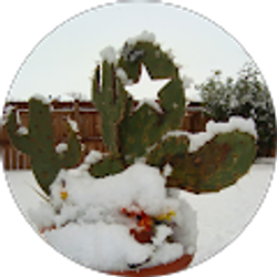 Profile photo of Dana Parra