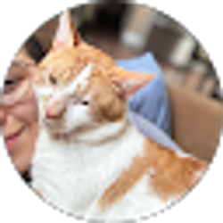 Profile photo of Norelly Tellez