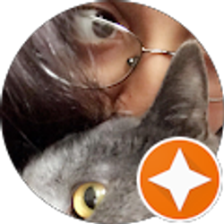 Profile photo of Noor