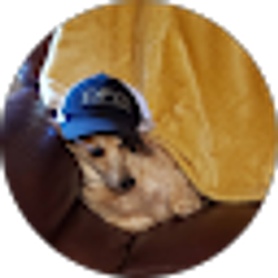 Profile photo of Terri Swan