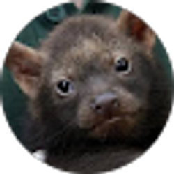 Profile photo of dom walker