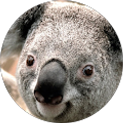 Profile photo of Colton K