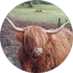 Profile photo of Mattie Tatton