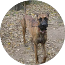 Profile photo of Sarah Ruth