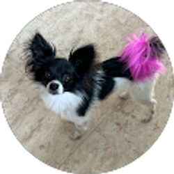 Profile photo of Kim Kaili