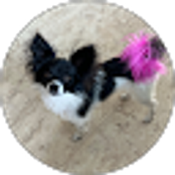 Profile photo of Kim Kaili