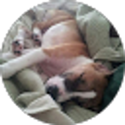 Profile photo of Cathie Crosby