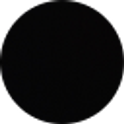Profile photo of Qaiss Nasseri