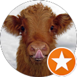 Profile photo of Chas Robertson