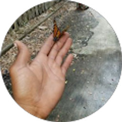 Profile photo of Brandon Williams