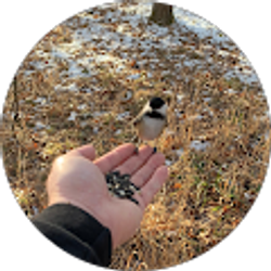 Profile photo of RJKennedy13