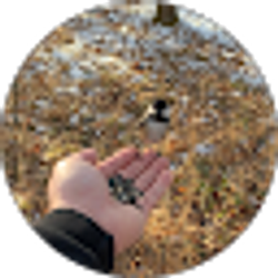 Profile photo of RJKennedy13