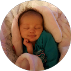 Profile photo of jerry fromm