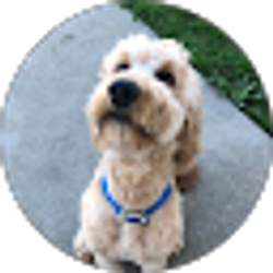 Profile photo of Layne Clark