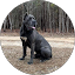 Profile photo of 94sbaker