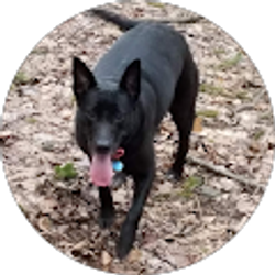 Profile photo of Christian Tapia