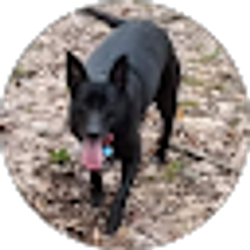 Profile photo of Christian Tapia