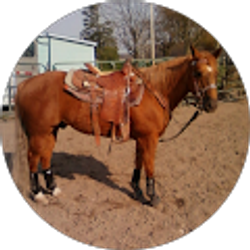 Profile photo of Andy Asbury
