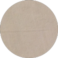 Profile photo of yesenia Alvarado