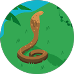 Profile photo of Lane B