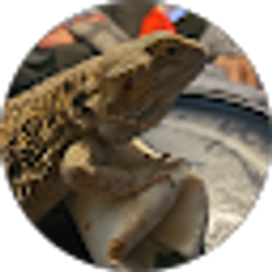 Profile photo of jaala smith