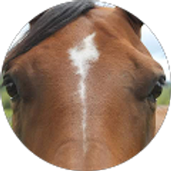 Profile photo of Bethany Bradshaw