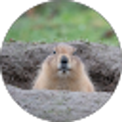 Profile photo of Kim Braddy