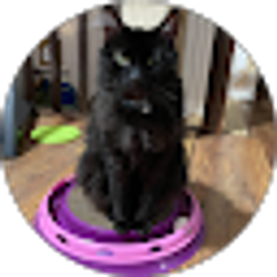 Profile photo of Dawn Wheeler