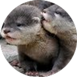 Profile photo of Libby Olson