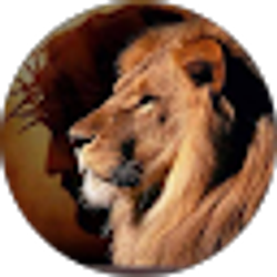 Profile photo of Joseph Rivera
